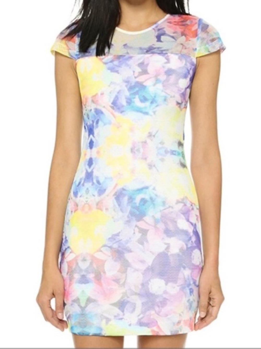 Parker August Floral Mesh Dress Mini